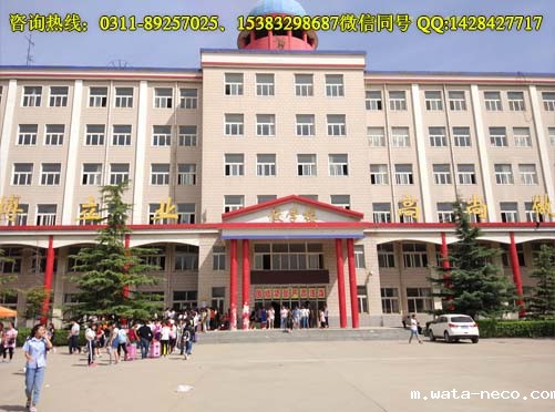 华体汇登录首页校内风景08.jpg 华体汇登录首页校内风景08.jpg