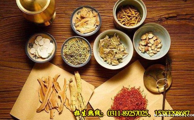 石家庄医高专中药学专业.jpg 石家庄医高专中药学专业.jpg