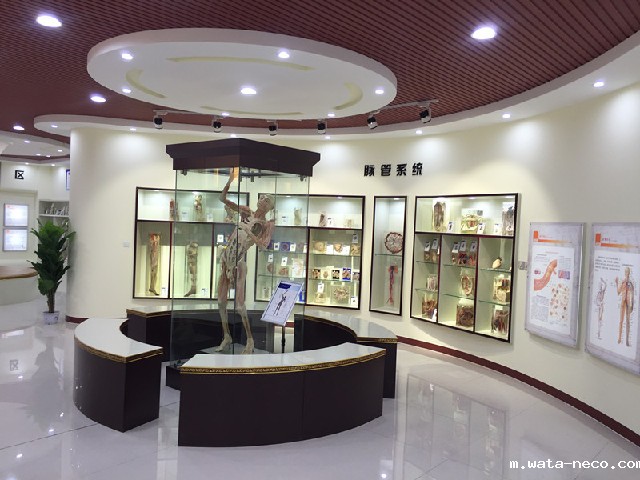 石家庄医学高等专科学校人体科技馆.jpg 石家庄医学高等专科学校人体科技馆.jpg