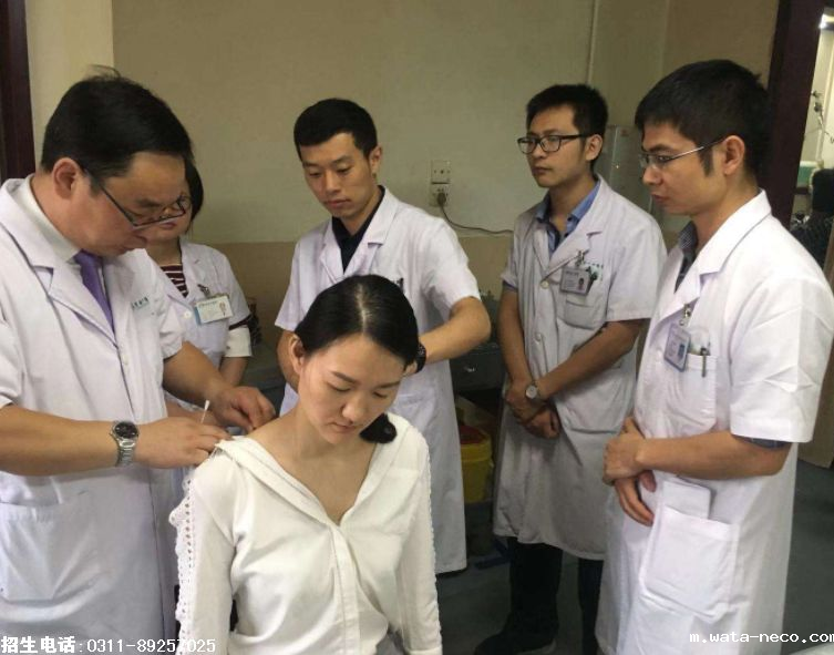 石家庄白求恩医学院中医学.png 石家庄白求恩医学院中医学.png