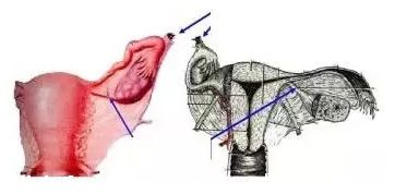 2019护士资格考点精练5.png 2019护士资格考点精练5.png