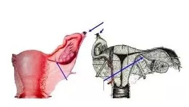 2019护士资格考点精练9.png 2019护士资格考点精练9.png