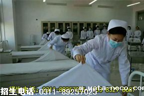 护理专业课程.png 护理专业课程.png