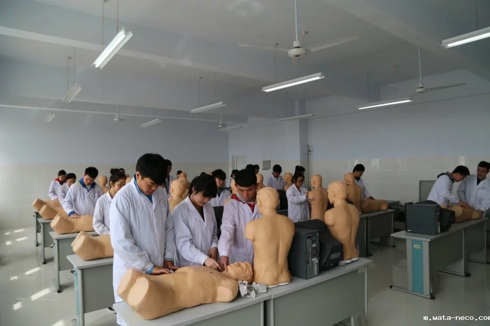 psb (3).jpg psb (3).jpg