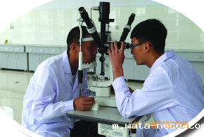 眼视光与配镜.png 眼视光与配镜.png