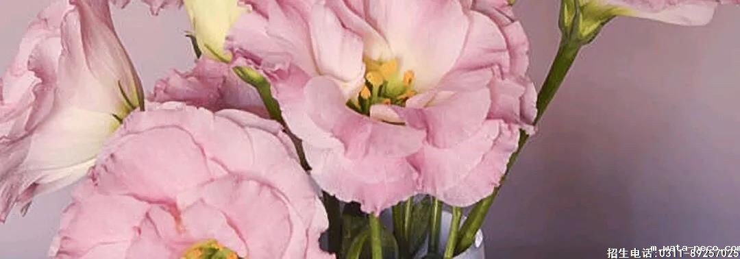 对口升学会取消吗.jpg 对口升学会取消吗.jpg