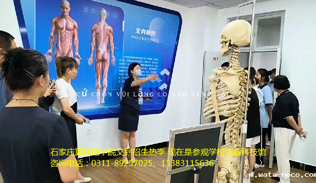 石家庄冀联医学中等专业学校人体生命科技馆