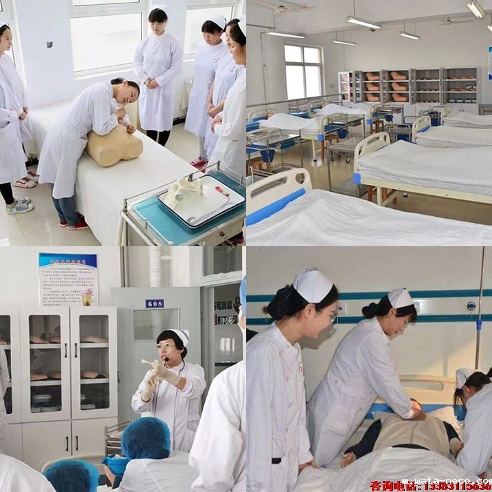 1701265492521845.jpg 1701265492521845.jpg