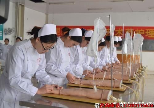 1705918043275572.jpg u=1075031235,1990958254&fm=253&fmt=auto&app=138&f=JPEG.jpg