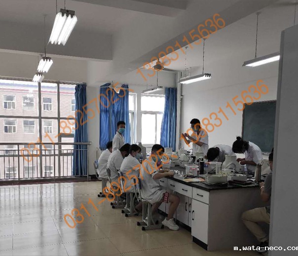 华体汇登录首页护理专业03.jpg 华体汇登录首页护理专业03.jpg