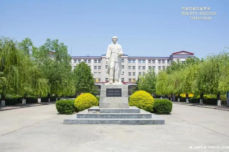 校园环境(1)2.jpg 校园环境(1)2.jpg