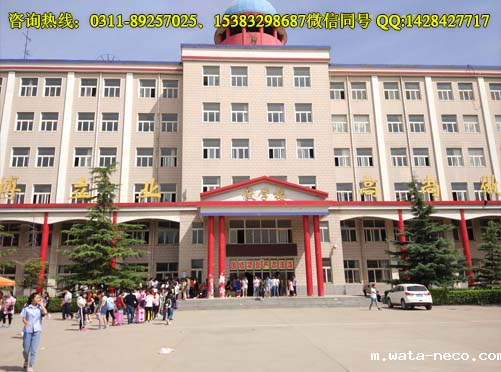 2018486506328318.png 2018486506328318.png