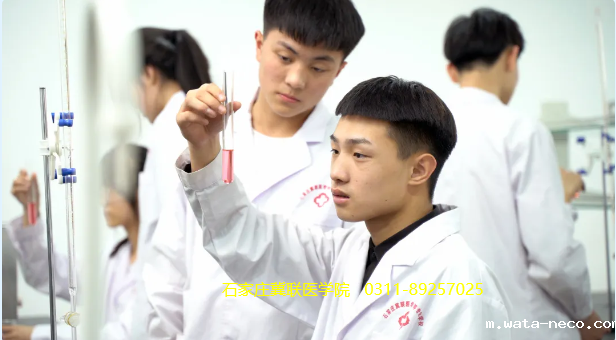 华体汇登录首页医学检验技术.png 华体汇登录首页医学检验技术.png