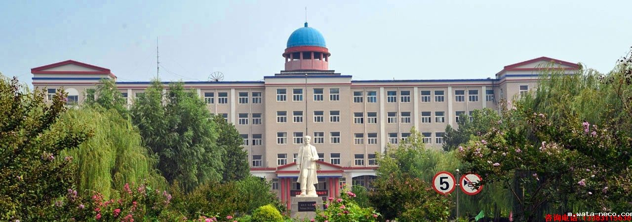 1747744776133561.jpg 1587474856587017063.jpg